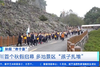 成都飞三亚经济舱一票难求四川秋假带火航空市场