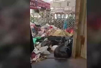 河南一垃圾处理厂设备故障致垃圾堆积